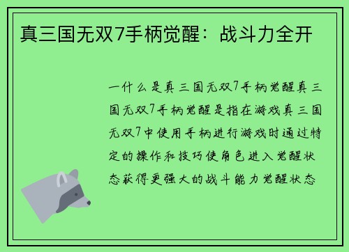 真三国无双7手柄觉醒：战斗力全开